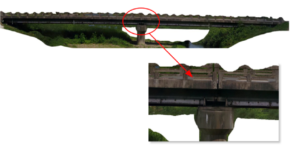 ドローン映像にて発見