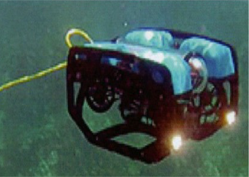 Blue Rov