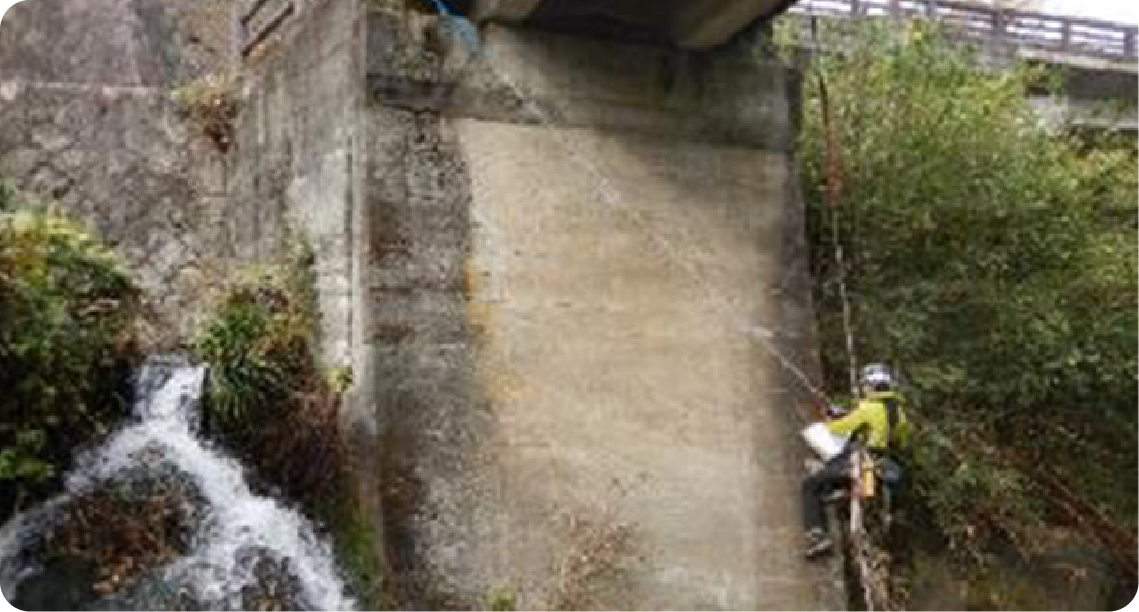 ロープアクセス調査・点検技術